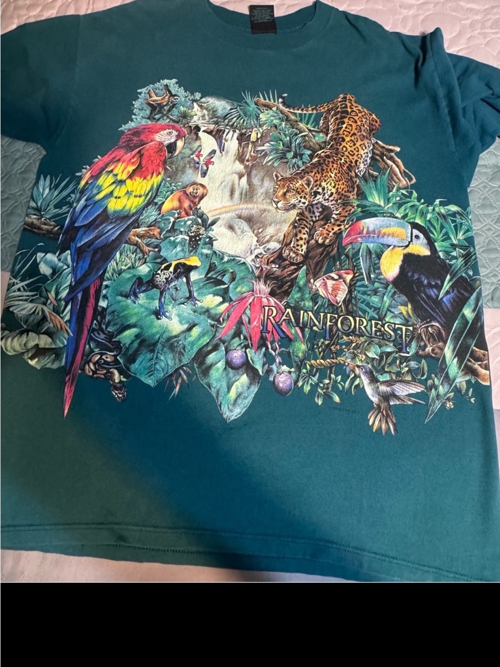 Habitat Teal Crewneck Tee with Embroidered Bear Tag